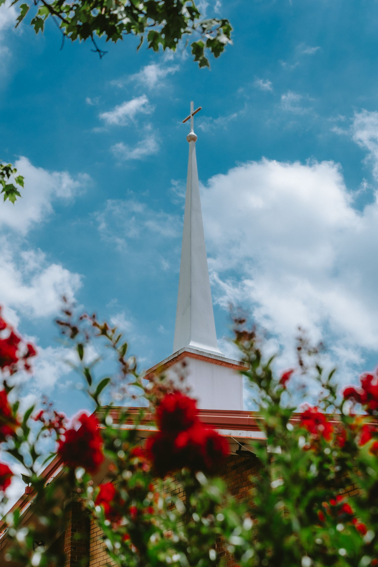 A white church steeple against a blue Texas sky, framed by red crepe myrtle blooms